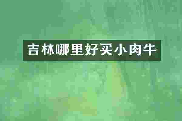 吉林哪里好买小肉牛