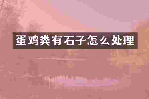 蛋鸡粪有石子怎么处理