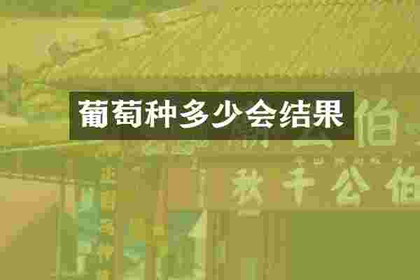 葡萄种多少会结果