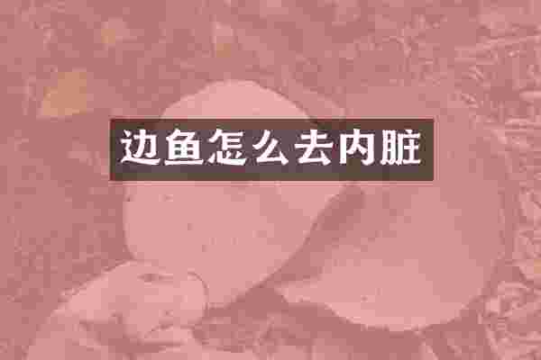 边鱼怎么去内脏
