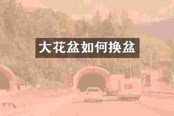 大花盆如何换盆