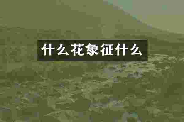 什么花象征什么