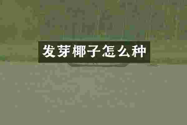 发芽椰子怎么种