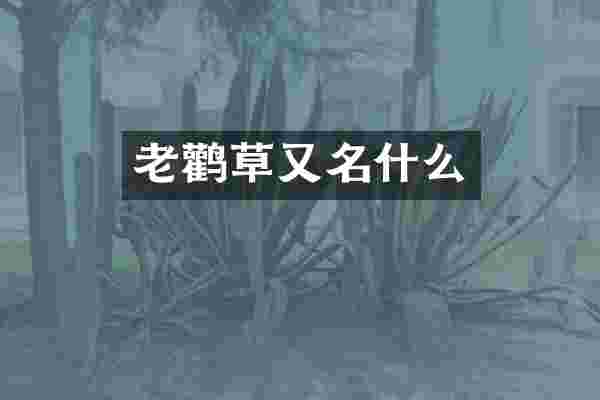 老鹳草又名什么