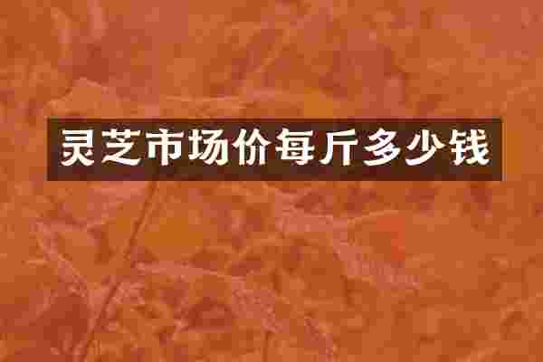 灵芝市场价每斤多少钱