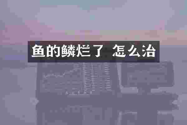 鱼的鳞烂了 怎么治
