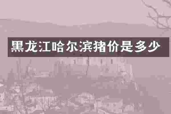 黑龙江哈尔滨猪价是多少