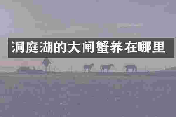 洞庭湖的大闸蟹养在哪里