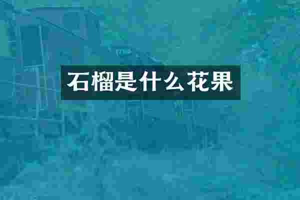 石榴是什么花果
