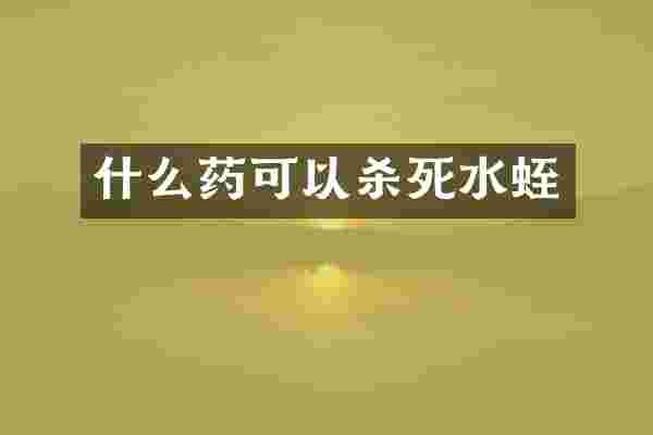 什么药可以杀死水蛭