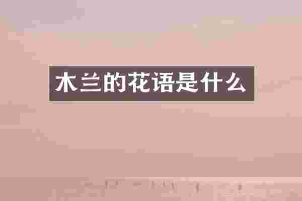木兰的花语是什么