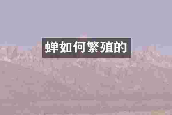 蝉如何繁殖的