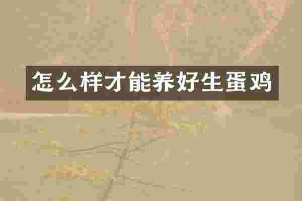 怎么样才能养好生蛋鸡