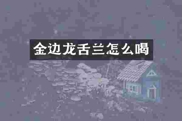 金边龙舌兰怎么喝