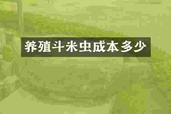 养殖斗米虫成本多少