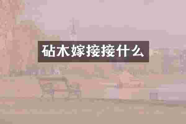 砧木嫁接接什么