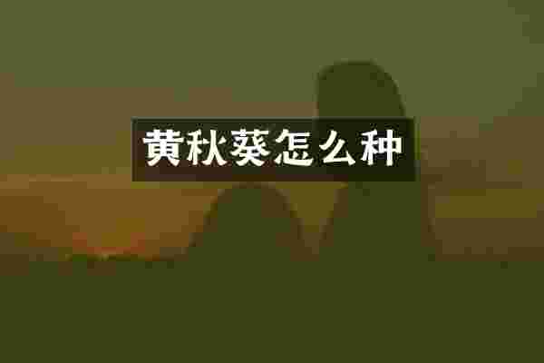 黄秋葵怎么种