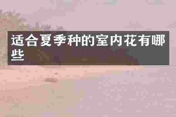 适合夏季种的室内花有哪些