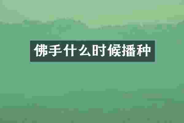 佛手什么时候播种