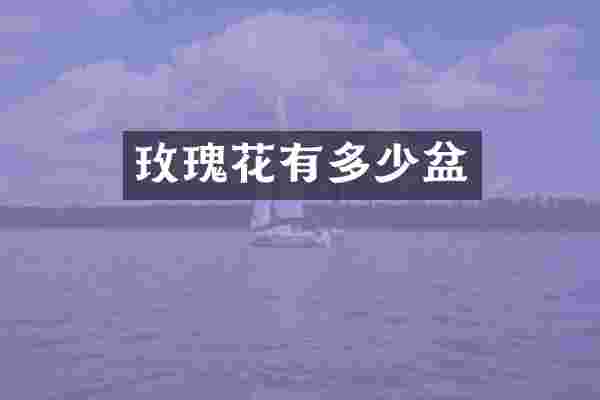 玫瑰花有多少盆