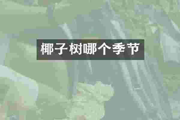 椰子树哪个季节