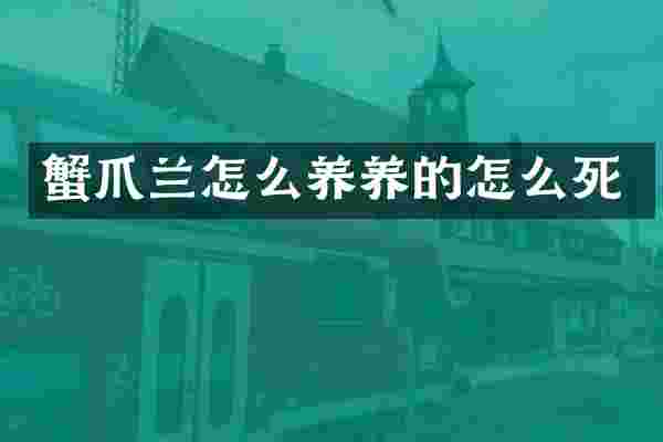 蟹爪兰怎么养养的怎么死