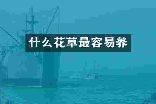 什么花草最容易养