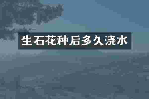 生石花种后多久浇水