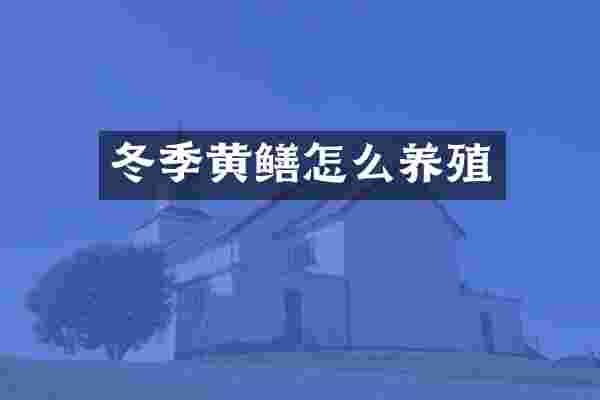 冬季黄鳝怎么养殖
