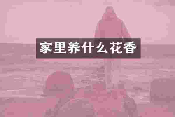 家里养什么花香