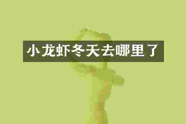 小龙虾冬天去哪里了