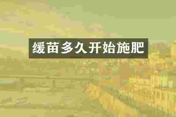 缓苗多久开始施肥