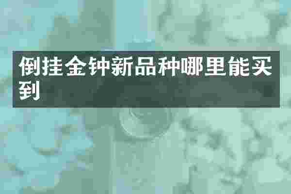 倒挂金钟新品种