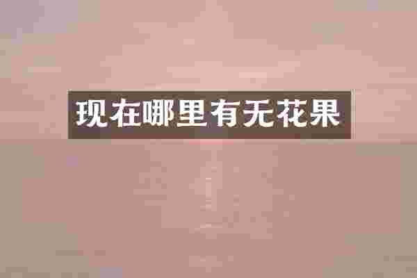 现在哪里有无花果