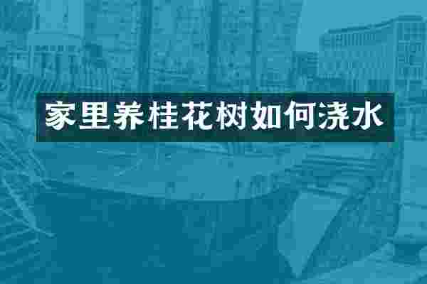家里养桂花树如何浇水