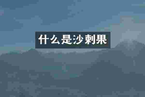 什么是沙刺果