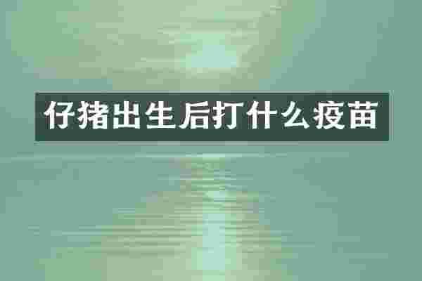 仔猪出生后打什么疫苗