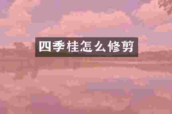 四季桂怎么修剪