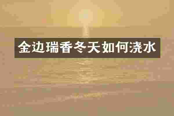 金边瑞香冬天如何浇水