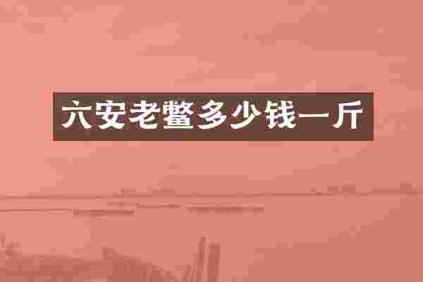 六安老鳖多少钱一斤