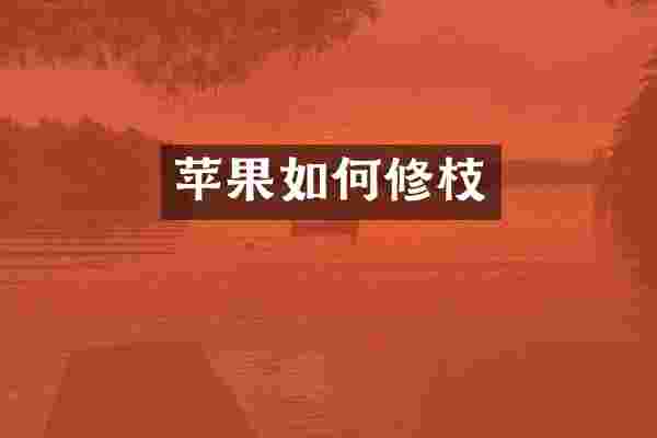 苹果如何修枝