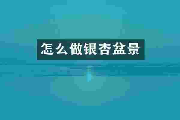 怎么做银杏盆景