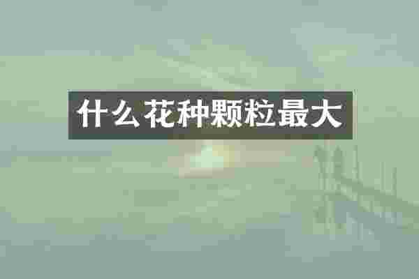 什么花种颗粒最大
