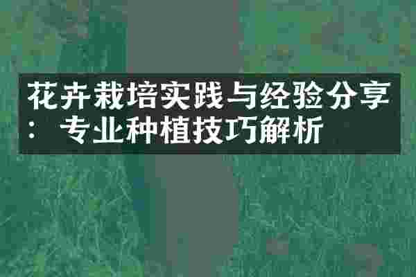 花卉栽培实践与经验分享：专业种植技巧解析