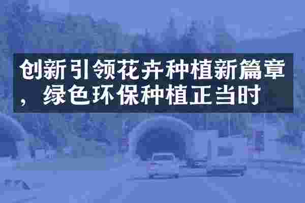 创新引领花卉种植新篇章，绿色环保种植正当时