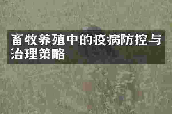 畜牧养殖中的疫病防控与治理策略