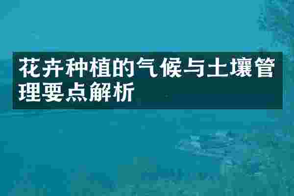 花卉种植的气候与土壤管理要点解析