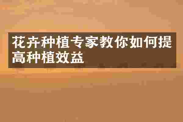 花卉种植专家教你如何提高种植效益