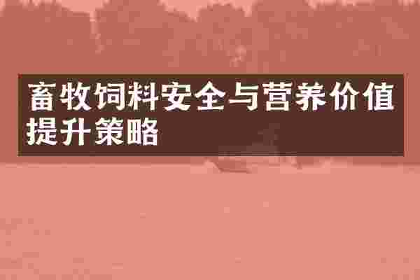 畜牧饲料安全与营养价值提升策略