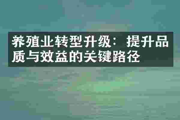养殖业转型升级：提升品质与效益的关键路径